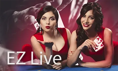 Niceph Bingo Promotions